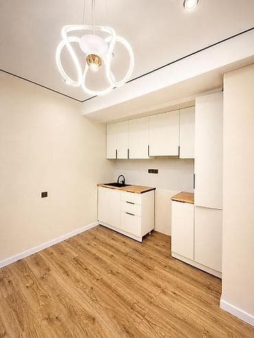 квартира горкий: 1 комната, 41 м², Элитка, 2 этаж, Евроремонт — 5
