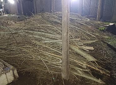 объявления о находке документов: Самовывоз — 2