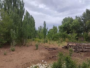 сдаю дом в канте: 12 соток, Для сельского хозяйства, Генеральная доверенность — 3