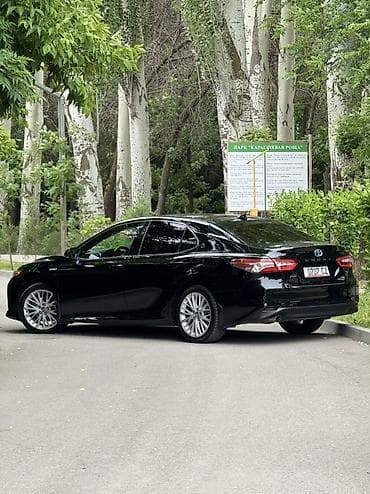 camry 5: Toyota Camry: 2019 г., 2.5 л, Вариатор, Гибрид, Седан — 3
