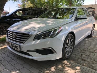 ssang: Ева полики Бишкек Ева коврик Бишкек Модельные 3D полики для Вашего — 6