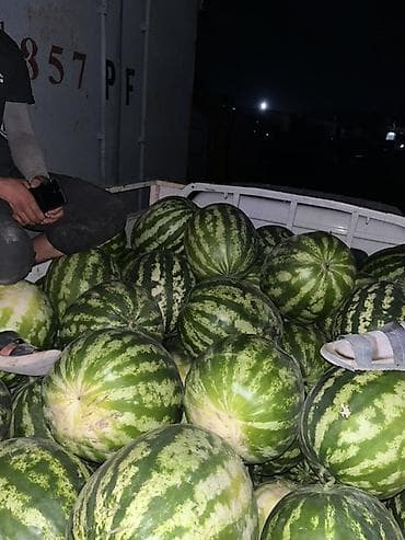 Мөмө-жемиштер: Дарбыздар Дүң — 3