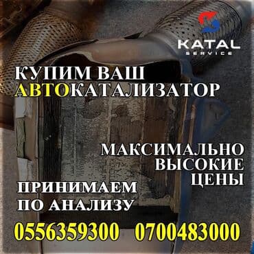 импрезза: Скупка катализаторов катализатор катализаторов прием — 1
