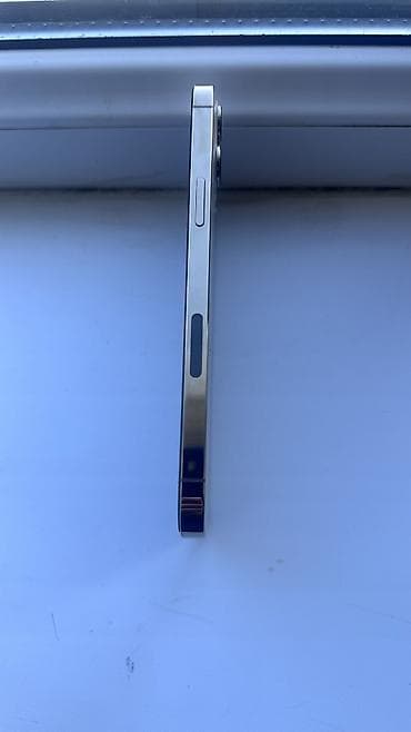 ipone 11: IPhone 12 Pro Max, 256 ГБ, Золотой, Защитное стекло, Чехол — 5