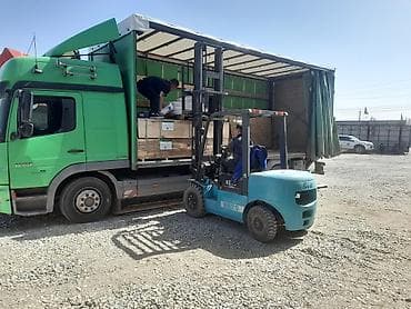 Комнатные растения: Грузоперевозки на тентах/фургонах - Автомобили: среднетоннажные и — 3