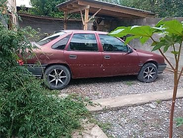 Opel Vectra: 1992 г., 1.6 л, Механика, Бензин, Седан — 4