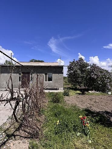 ройон восток: Дом кирпичный, 4 комнаты, Большой участок, 20 сотых, село Гроздь — 2