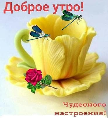 Требуется девушка в кофетерий Улыбчивая, ответственная,умеющая