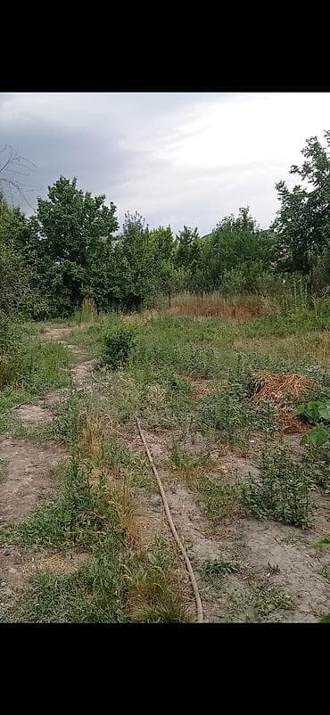 кирова: Сдам комнату девушке в частном доме, без вредных привычек, душ в — 1