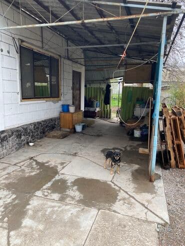 село ленинское продаю дом участок: Дом, 43 м², 3 комнаты — 1