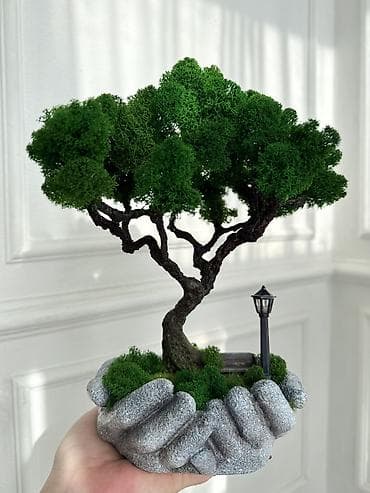 искуственный мох: Деревья-бонсай из натурального стабилизированного мха🌳 -это — 1