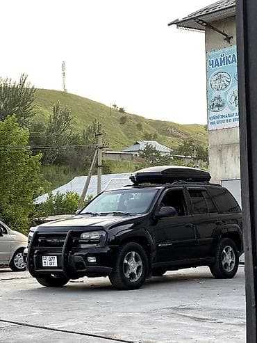 Chevrolet Trailblazer: 2004 г., 4.2 л, Автомат, Бензин, Внедорожник