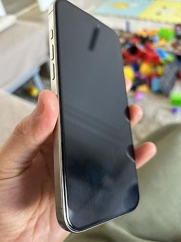 IPhone 16 Pro Max, 256 ГБ, Natural Titanium, Защитное стекло, Чехол, Кабель, 91 % at lalafo.kg IPhone 16 Pro Max, 256 ГБ, Natural Titanium, Защитное стекло, Чехол, Кабель, 91 %