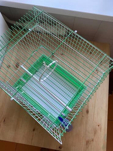 приют для животных бишкек телефон: Цена окончательная!!! Продаю новую большую клетку для попугаев — 3