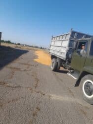 malina.kg продажа малины оптом в бишкеке новопокровка фото: Жүгөрү — 2