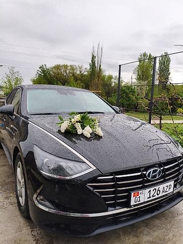 чехол соната: Hyundai Sonata: 2021 г., 2 л, Автомат, Газ, Седан — 1