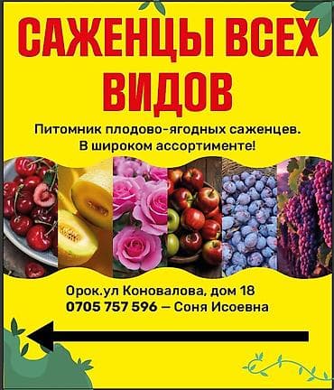 кора для сада: Плодово-ягодный питомник — саженцы всех видов. Большой выбор — 1