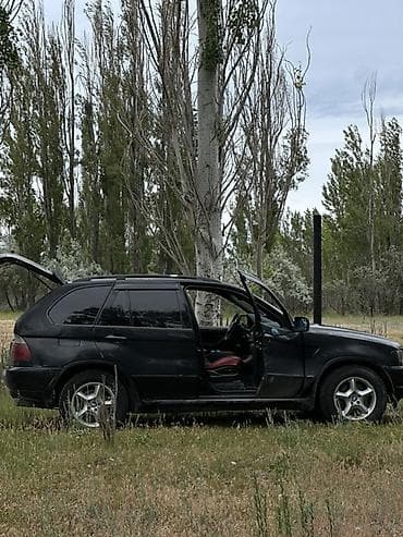 x5 e70: BMW X5: 2001 г., 4.4 л, Автомат, Бензин, Внедорожник — 3