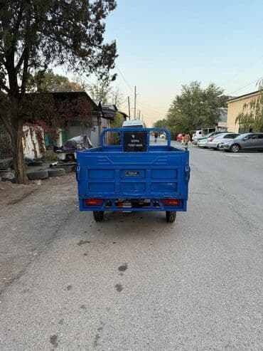 мото квадрацикл: Мотороллер муравей Электро, 60 км, 1000 - 1499 кг, Б/у — 3