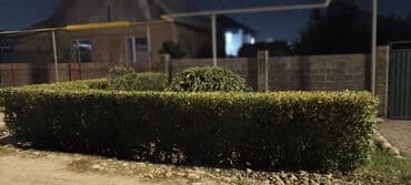 куплю дом жм кут: Дом, 50 м², 2 комнаты, Собственник, Евроремонт — 9