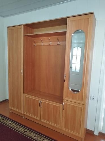 вешалки для магазинов одежды: Шкаф-прихожая, С зеркалом, ЛДСП — 2