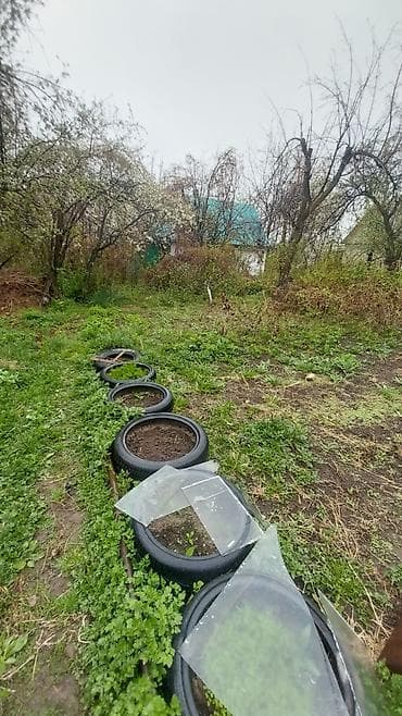 дома сосновка: Срочно продаю ДАЧУ!, с.АРАШАН, УЧАСТОК 5 СОТОК, СВЕТ, ВОДА ЕСТЬ, 3х — 4