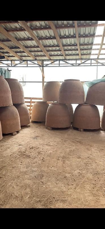 сдается пекарня: Тандыр для самсы продаем — 1