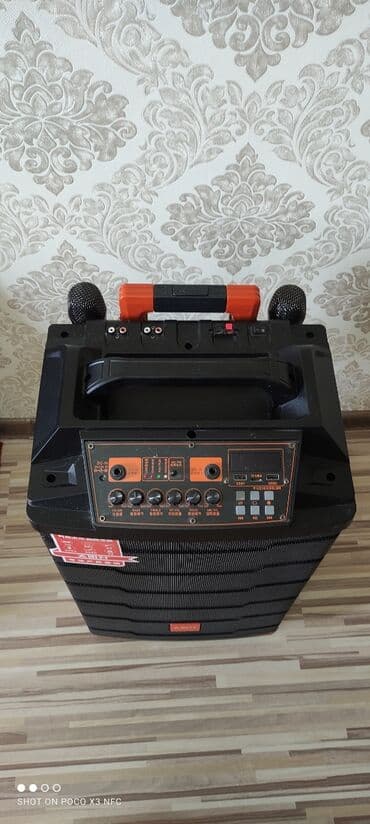 рупор купить бишкек: Отличный звук, состояние почти новое! Подходит для свадеб, юбилеев — 5