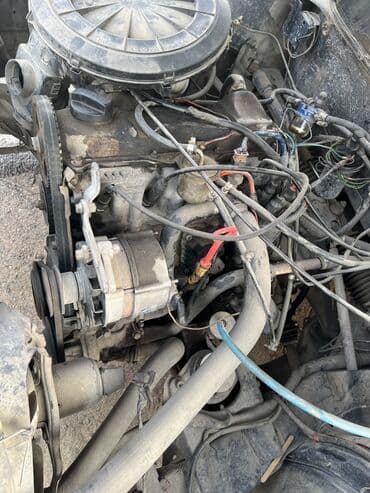 продам бу оборудование для птицефабрики: Продаю | Корова (самка) | Для разведения | Нетель — 8