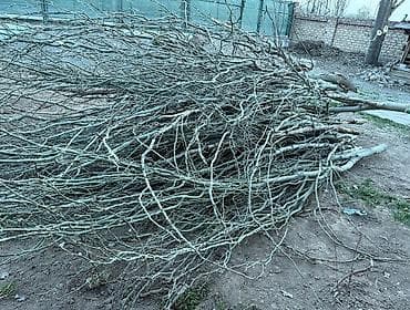 опилки даром: Дрова Самовывоз — 5