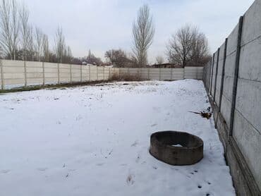 нарын контейнер: 5 соток, Кызыл китеп — 8