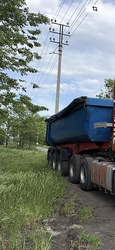 самосв: Прицеп, Schmitz Cargobull, Самосвал, от 12 т, Б/у — 2