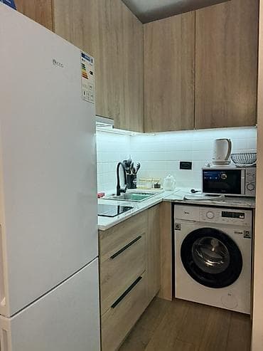 Студия, С мебелью полностью