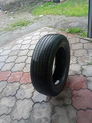 225 55 р17: Шины 225 / 65 / R 17, Всесезонная, Комплект, Внедорожные (АТ/МТ), Dunlop — 6