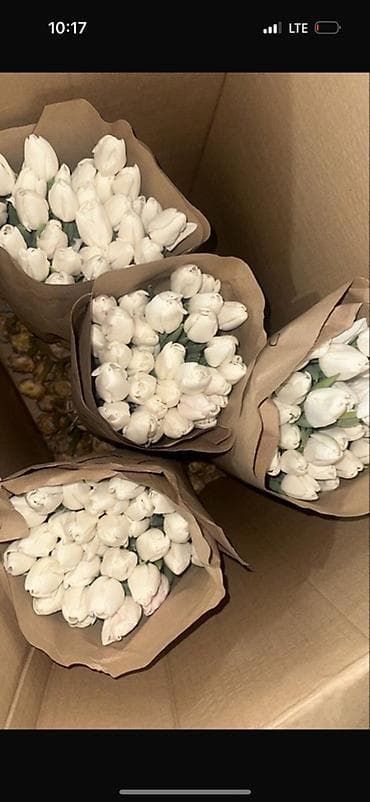 Цветы и букеты: Тюльпаны в крафт-упаковке - Свежесрезанные тюльпаны с плотным — 6