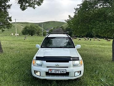 Nissan Pathfinder: 2002 г., 3.5 л, Автомат, Газ, Внедорожник