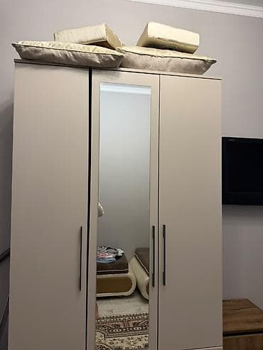 third edition solution: Трёхдверный шкаф-купе для спальни/прихожей. срочно сатылат - Корпус и — 2