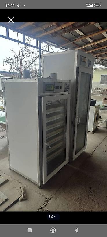 швед уйлар: Инкубатор Инкубатор Инкубатор . Россия. Большой.Бонита. электрический — 10