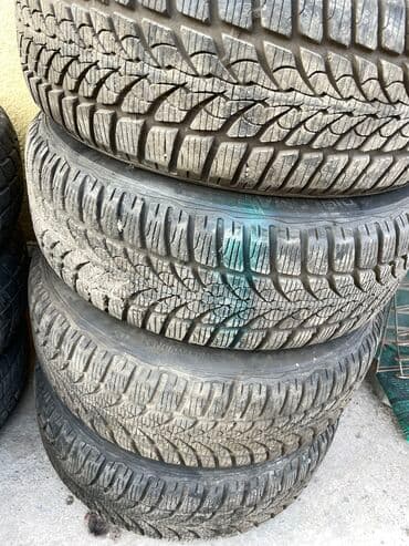 шины на рекс: Шины — 28