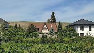 орок нижний: 10 соток, Красная книга, Тех паспорт — 1