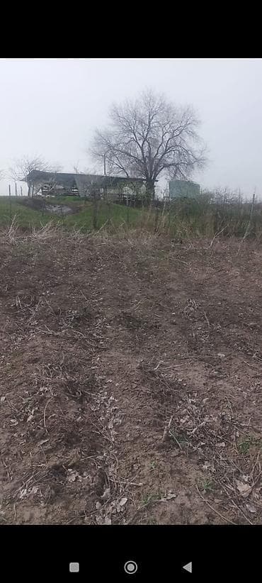 Недвижимость: 1 соток, Для сельского хозяйства, Тех паспорт — 4