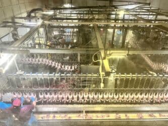 оборудование для молока: 🚨 РАБОТА С ПРОЖИВАНИЕМ! 🚨 👨‍👩‍👧 Приглашаем мужчин, женщин и семейные — 2