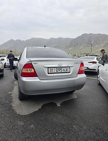 chery amulet цена: Toyota Corolla: 2003 г., Ручные, Бензин, Седан — 2