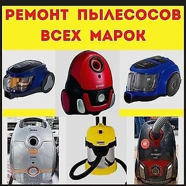 Пылесос, Моющий