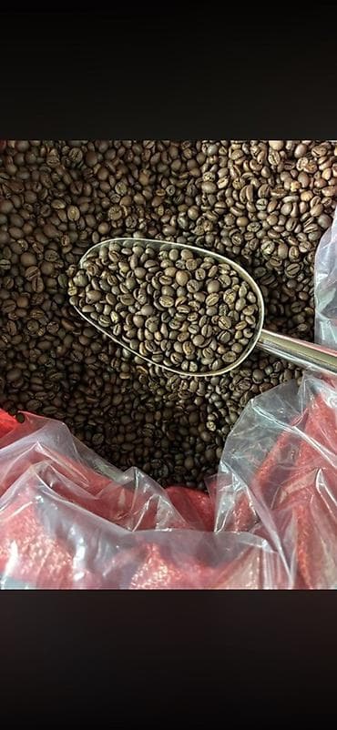 обжарка: 🔥 BLACK COFFEE SNG Прямые поставки кофе из Вьетнама 🇻🇳 Без посредников — 2