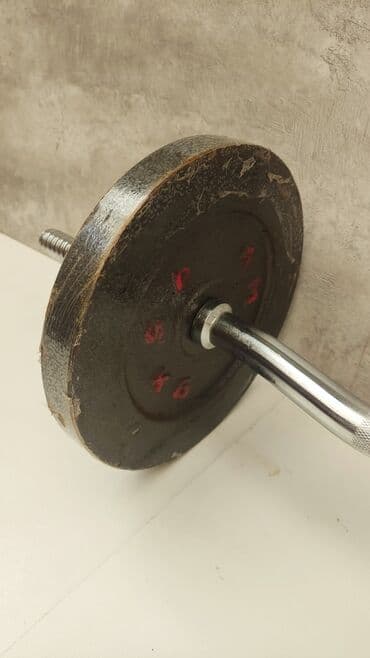 Спорт и отдых: Штанга с кривым грифом
2 блина по 5кг 
общий вес 16кг — 3