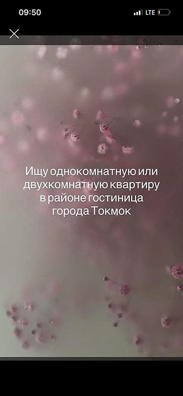 тыныстанова киевская: Ищу квартиру для длительной аренды: - Тип: 1‑комнатная или 2‑комнатная — 1