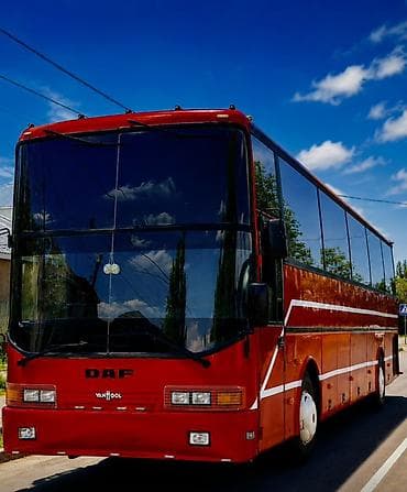 49: Автобус, DAF, 40 и более мест — 1
