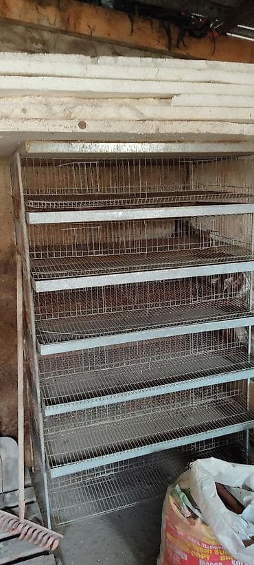 Многоярусная металлическая батарея клеток для птицы. - Конструкция: 6