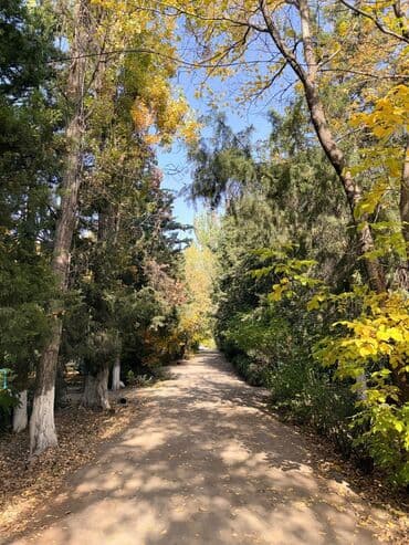 дома покровка: 2 бөлмө, 43 кв. м, 104-серия, 2 кабат — 14